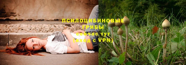 твердый Балахна