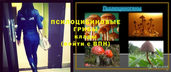 a pvp Баксан