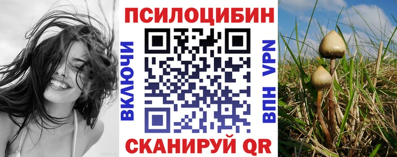 наркошоп  Малмыж  Галлюциногенные грибы Psilocybine cubensis 